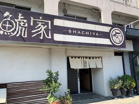 鯱家