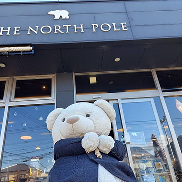 The north pole