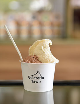Gelateria Yawn