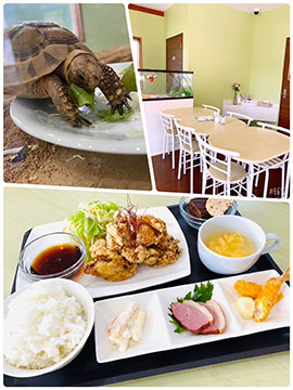 cafe CLOVER