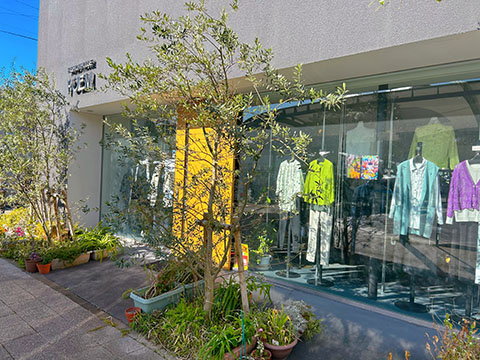 FASHION HOUSE POEM