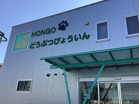ほんご動物病院