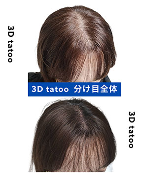 Papillon hair