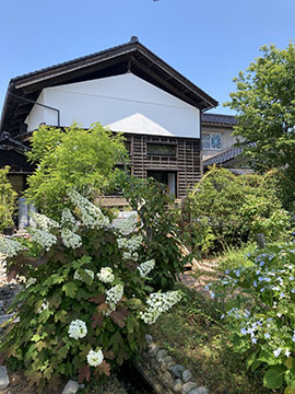 あうん「蔵」
