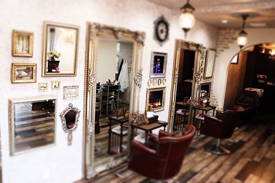 hair salon Ankh