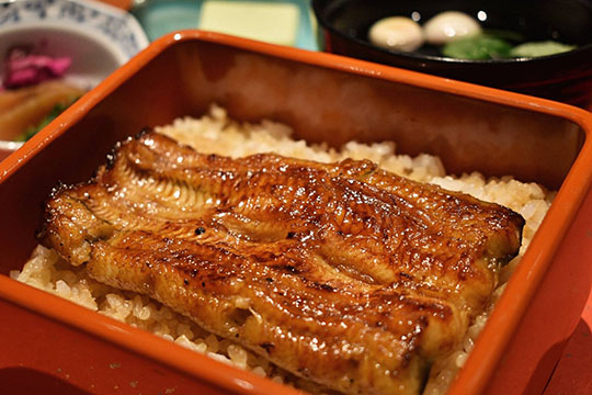 つきじ宮川本廛　サウスウッド店