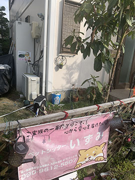 ペットシッター　いずみ