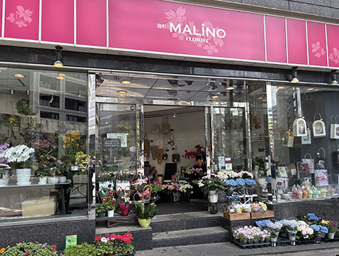 麹町マリーノ