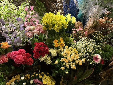 花屋小梅