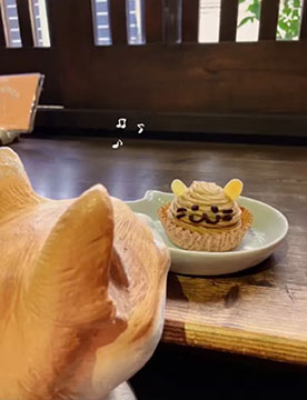 カフェ猫衛門
