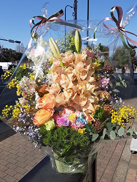 花ざかり