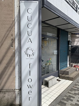 CUCUA FLOWER
