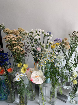 CUCUA FLOWER