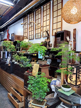 盆栽屋ラビアデッソ