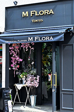 M FLORA