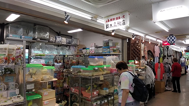 鈴木鳥獣店