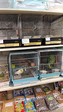 鈴木鳥獣店