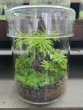 渓水庵
