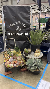 KASUGADOU