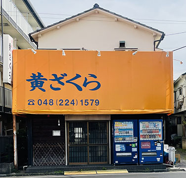 黄ざくら