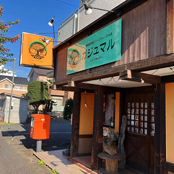 がじゅまる
