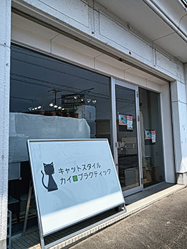 キャットスタイルカイロプラクティック