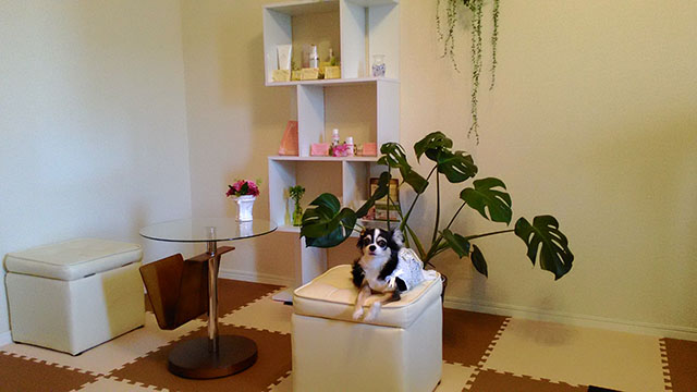 S＆H　Beauty　Design