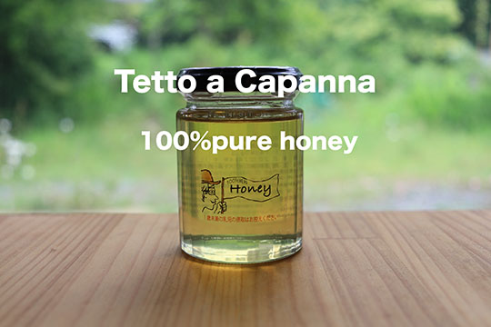 Tetto a Capanna
