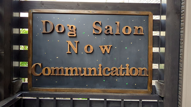 DOGSALON NOWCOMMUNICATION