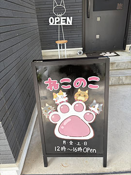 ねこのこ