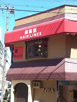ヘアーラインズ