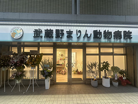 武蔵野まりん動物病院