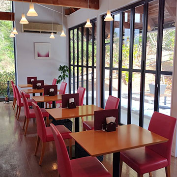 Cafe  森のテラス