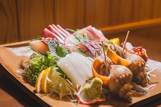 酒と肴　盃(まるはい）