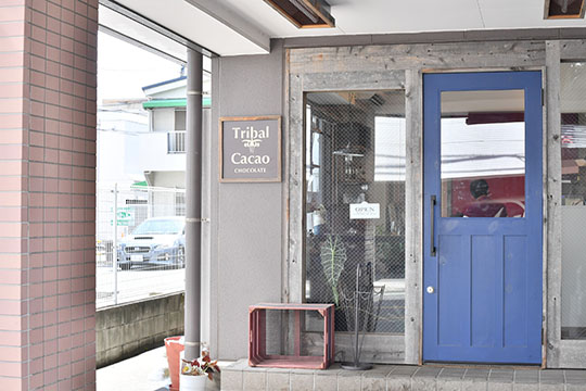 トライバルカカオ