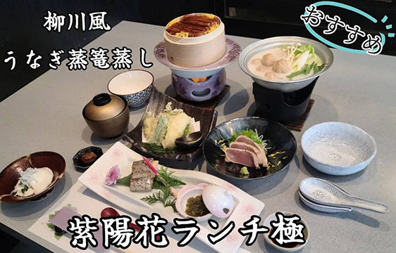 創作旬菜　紫陽花