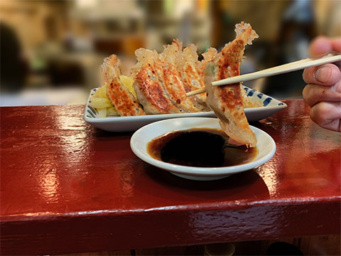 駅南酒場餃子研究所