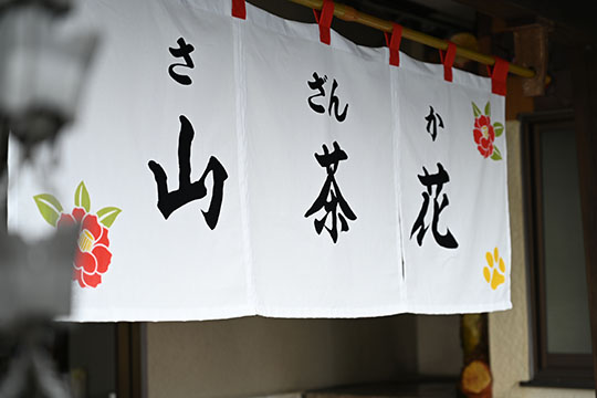 山茶花