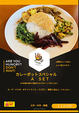 Curry Pot 