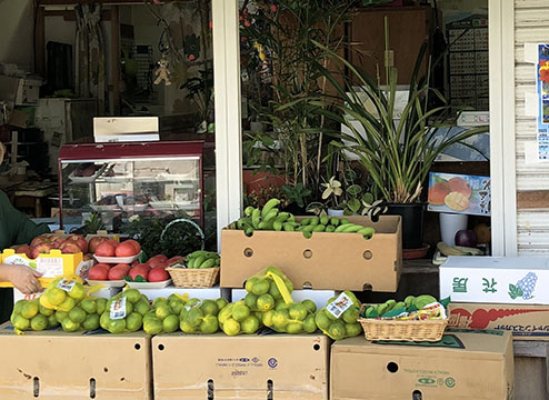 青菜　青果店