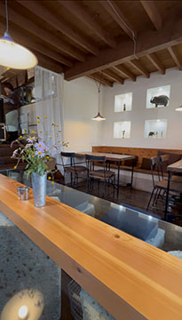 cafe kenzo sun