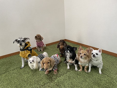 フレわんハウス