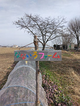 なないろファーム　川島町