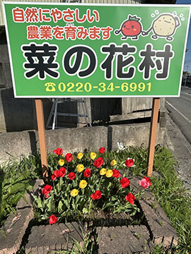 （有）菜の花村