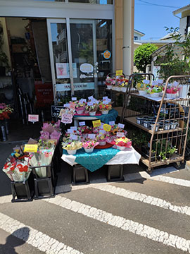 フラワーガーデン花曜日