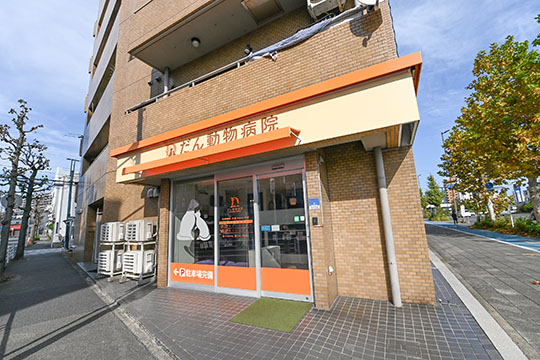 だん動物病院