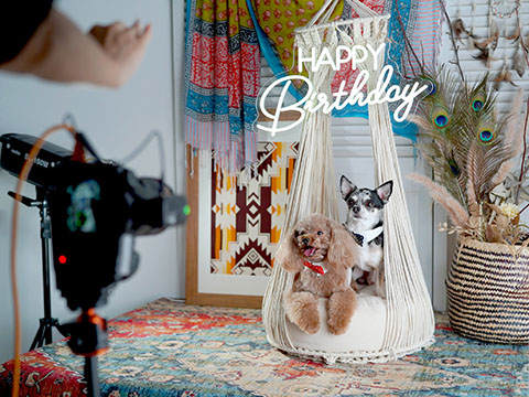 PET&FAM PHOTO STUDIO