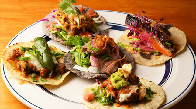 Tacos&Bar YOTTE YO