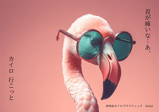 神楽坂カイロプラクティックSoleil