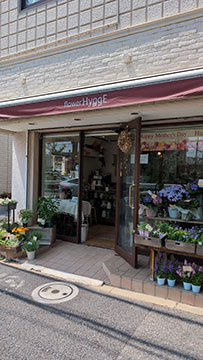 flower HyggE